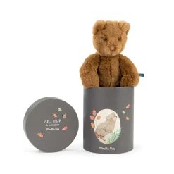 Moulin Roty Plu00fcschtier Bu00e4r Arthur in Dose